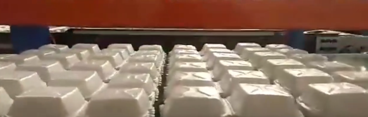 PS Foam Thermoforming Machine