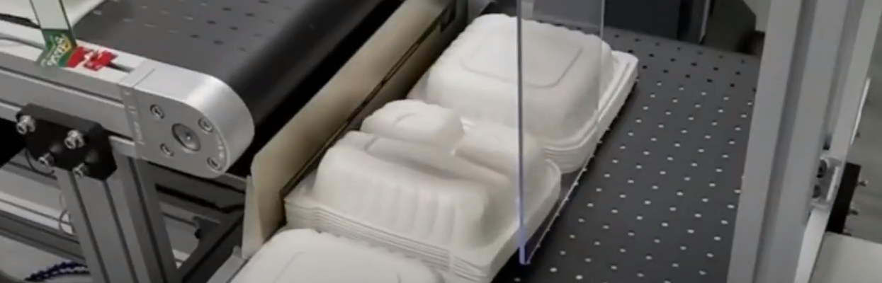 Disposable lunch box/lid digital UV printing machine